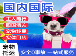 义乌机场邮寄国际宠物托运 【国